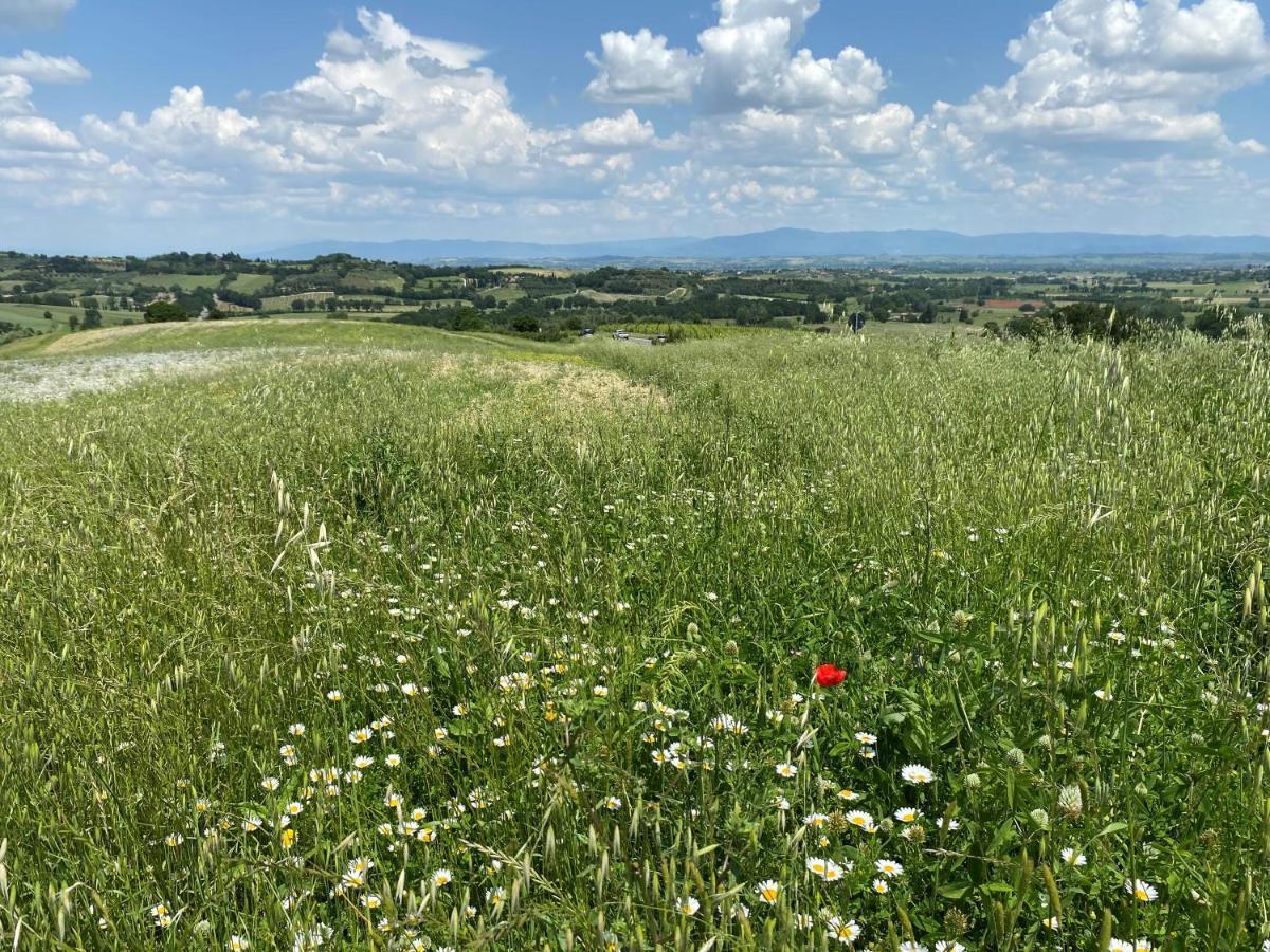 Agriturismo La Collina Siena Exteriör bild