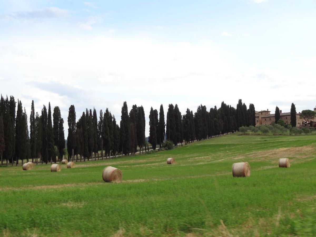 Agriturismo La Collina Villa Siena Exteriör bild