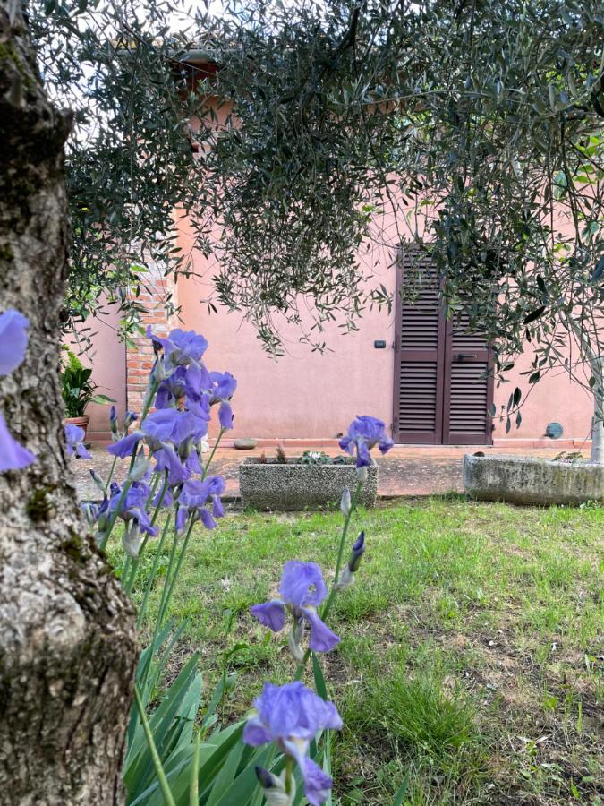 Agriturismo La Collina Siena Exteriör bild