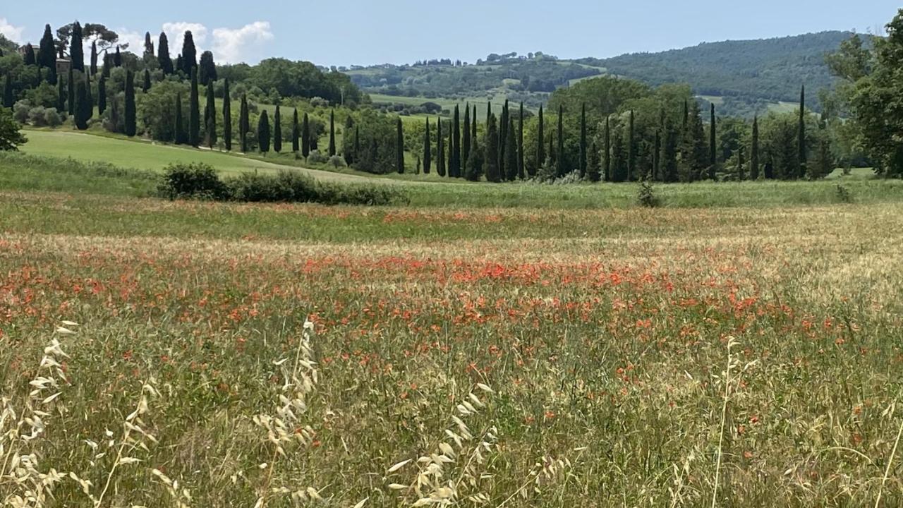 Agriturismo La Collina Villa Siena Exteriör bild