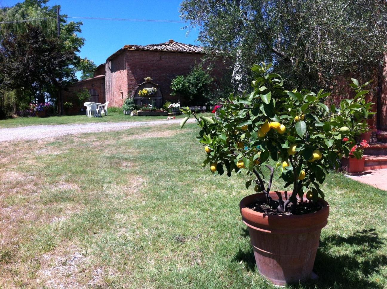 Agriturismo La Collina Siena Exteriör bild